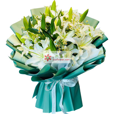 兴安8支白色多头百合洋甘菊，如潮的思念